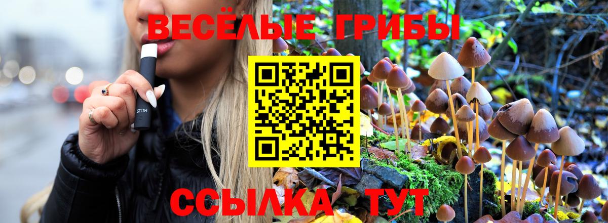 Рассказово  даркнет сайт  Вход с VPN  Псилоцибиновые грибы Psilocybine cubensis 