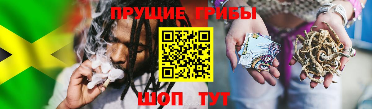 Псилоцибиновые грибы Magic Shrooms Рассказово